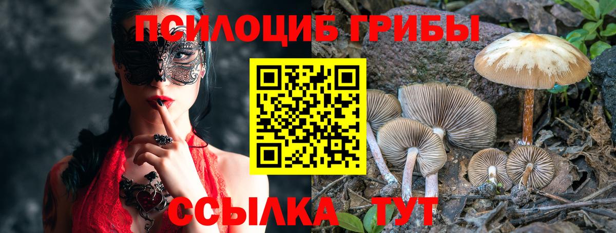 Советск  Псилоцибиновые грибы Magic Shrooms  Вход с VPN  Псилоцибиновые грибы ЛСД 